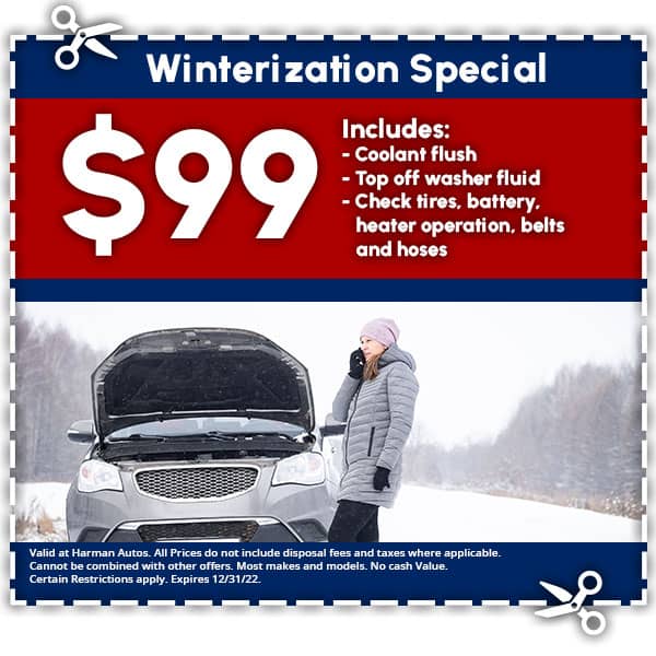 Frostbyte Motors Winterization Coupon